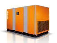 Компрессор винтовой Ekomak ЕКО 250 SСD 10